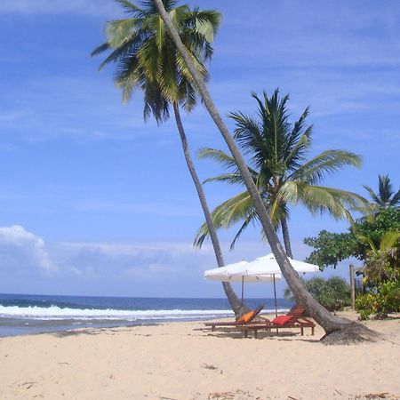 Pousada Tortuga Barra Grande  Dış mekan fotoğraf