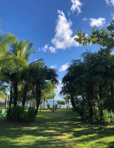Pousada Tortuga Barra Grande  Dış mekan fotoğraf