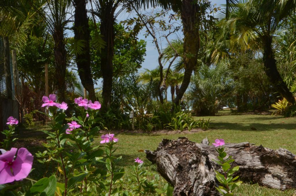 Pousada Tortuga Otel Barra Grande  Dış mekan fotoğraf