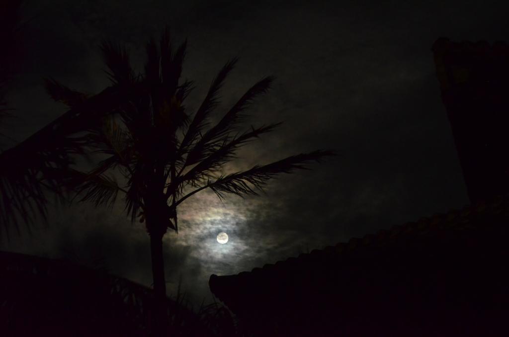 Pousada Tortuga Otel Barra Grande  Dış mekan fotoğraf