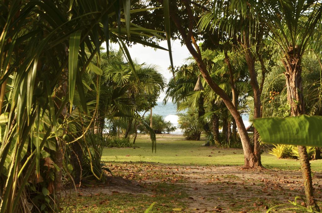 Pousada Tortuga Barra Grande  Dış mekan fotoğraf