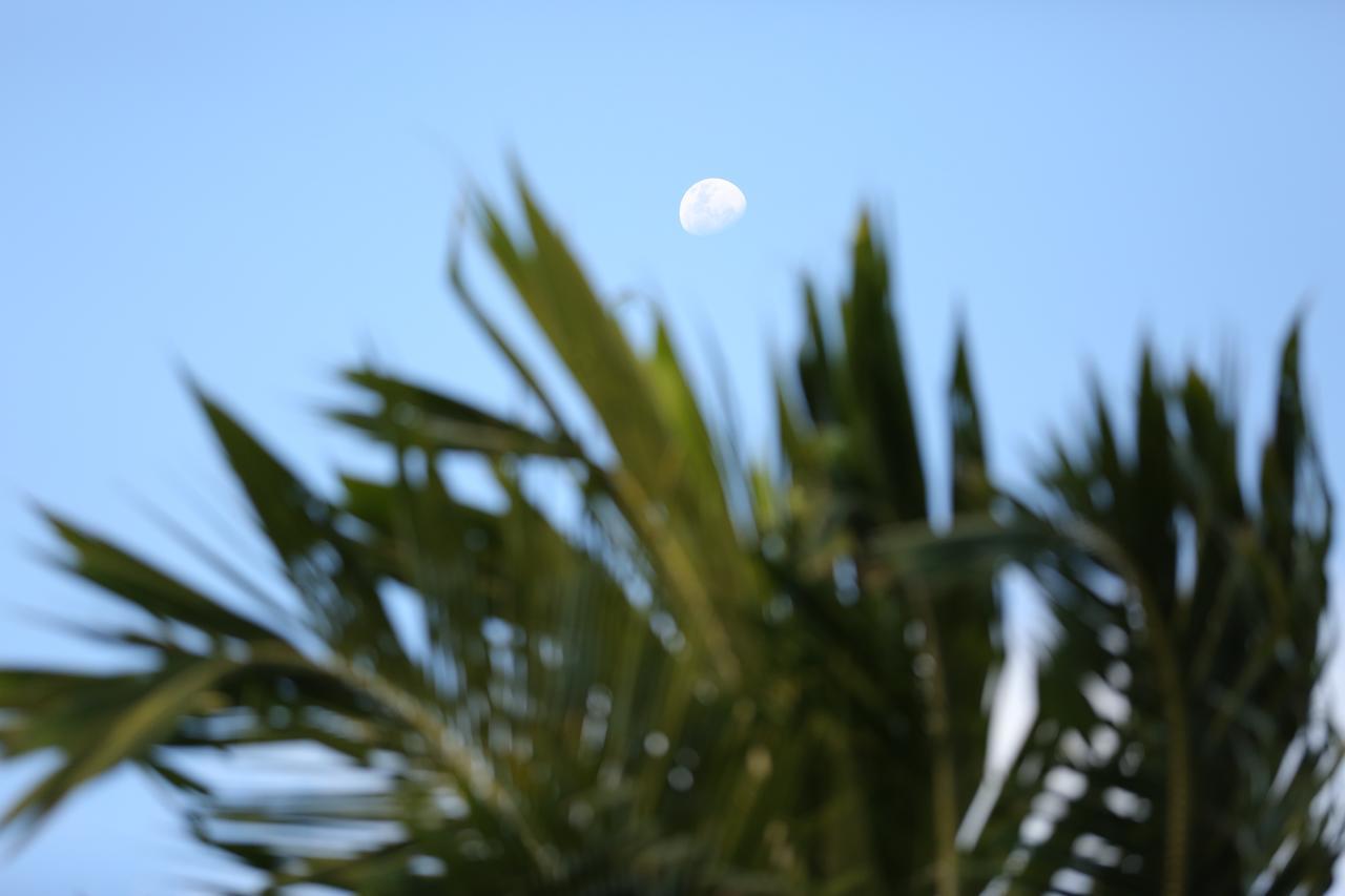 Pousada Tortuga Otel Barra Grande  Dış mekan fotoğraf